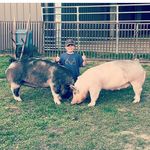 Colton Fowler - @fowlerct - Instagram