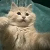 Colton Hoffman - @colton.hoffman7 - TikTok