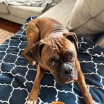 Colton Lamb - @coltonlamb712024 - Instagram