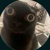 colton lambchops - @imcoltonlamb - TikTok