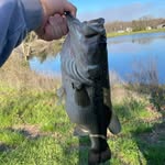 Colton Lawson - @colton.lawson.775 - Instagram