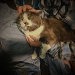 Colton Lawson - @colton.lawson.7543 - Instagram