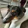 Colton Lawson - @colton.lawson69 - TikTok