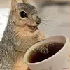 colton.mathis - @colton.mathis - TikTok