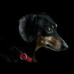 Colton McDaniel - @cmcdaniel745 - Instagram