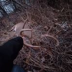 Colton Olson - Facebook