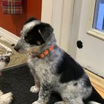 Colton Olson - @colton_olson18 - Instagram