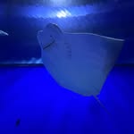 Colton Peacock - @colton_peacock_ - Instagram