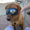 colton_peacock - @cotton_peacock - TikTok
