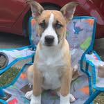 Colton - @_colton.post_ - Instagram