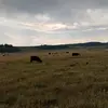 Colton price - @colton.price39 - TikTok