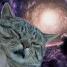 roycolton - @roycolton - TikTok