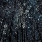 Colton James Shackelford - @colt.shack - Instagram