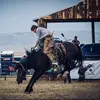 Colton stone - @coltonstone39 - TikTok