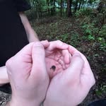 Colton Wall - @thecoltonwall - Instagram