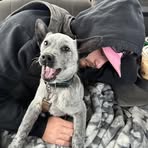 Colton Wallen - Facebook