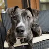 Colton Weiss - @colton.weiss - TikTok