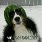 Colum Lynch - @clom32 - Instagram