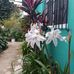 Columba Lopez - Facebook