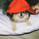 Comfort Jacob 💓💜 - @valha_ri - Instagram