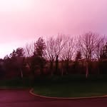 conal murphy o gorman - @conalmurphy69 - Instagram