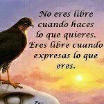 Concepcion Dominguez - @concepcion.dominguez.583 - Instagram