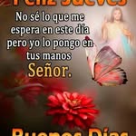 concepcion DOMINGUEZ - @concepciondominguez3 - Instagram