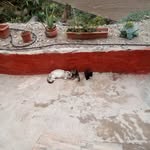Concepcion Dominguez - @concepcion.dominguez.3705157 - Instagram