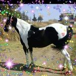 Concepcion Duran - @concepcion.duran.378 - Instagram