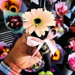 Concepcion Flores - @concepcion.flores.90834 - Instagram