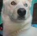 Concepcion Gonzalez - Facebook