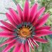 Concepcion Lopez - Facebook