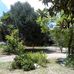 Concepcion Martinez - Facebook