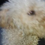 Concepcion Perez - @concepcion.perez.564 - Instagram