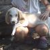 Concepcion Perez - Facebook