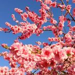 Concepcion Robles - @concepcion.robles.142 - Instagram