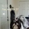 William Concepcion Robles - @william.concepcio36 - TikTok