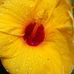 Concepcion Soto - Facebook