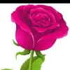 Concepcion Vargas - @concepcion.vargas2 - TikTok