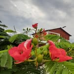 Concepcion Vargas - @concepcion.vargas.50 - Instagram
