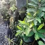 Concepcion Vargas Zuñiga - @concepcionvargaszuniga - Instagram