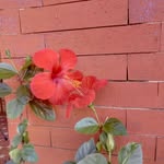 Concetta Aloisi - @concetta.aloisi.733 - Instagram
