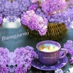 Concetta D'Aloia - @concetta.daloia - Instagram