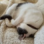 Concetta Pepe - @concetta.pepe.790 - Instagram