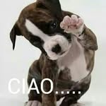 Concetta Pepe - @conci_conci10 - Instagram