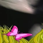 Concetta Raimondi - @concettaraimondi - Instagram