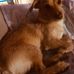 Concetta Riccio - Facebook