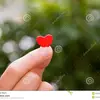 Concetta Riccio - @user517360579 - TikTok