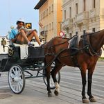 concetta stanton - @concetta8523big - Instagram