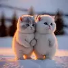 congduong - @dngcng479 - TikTok